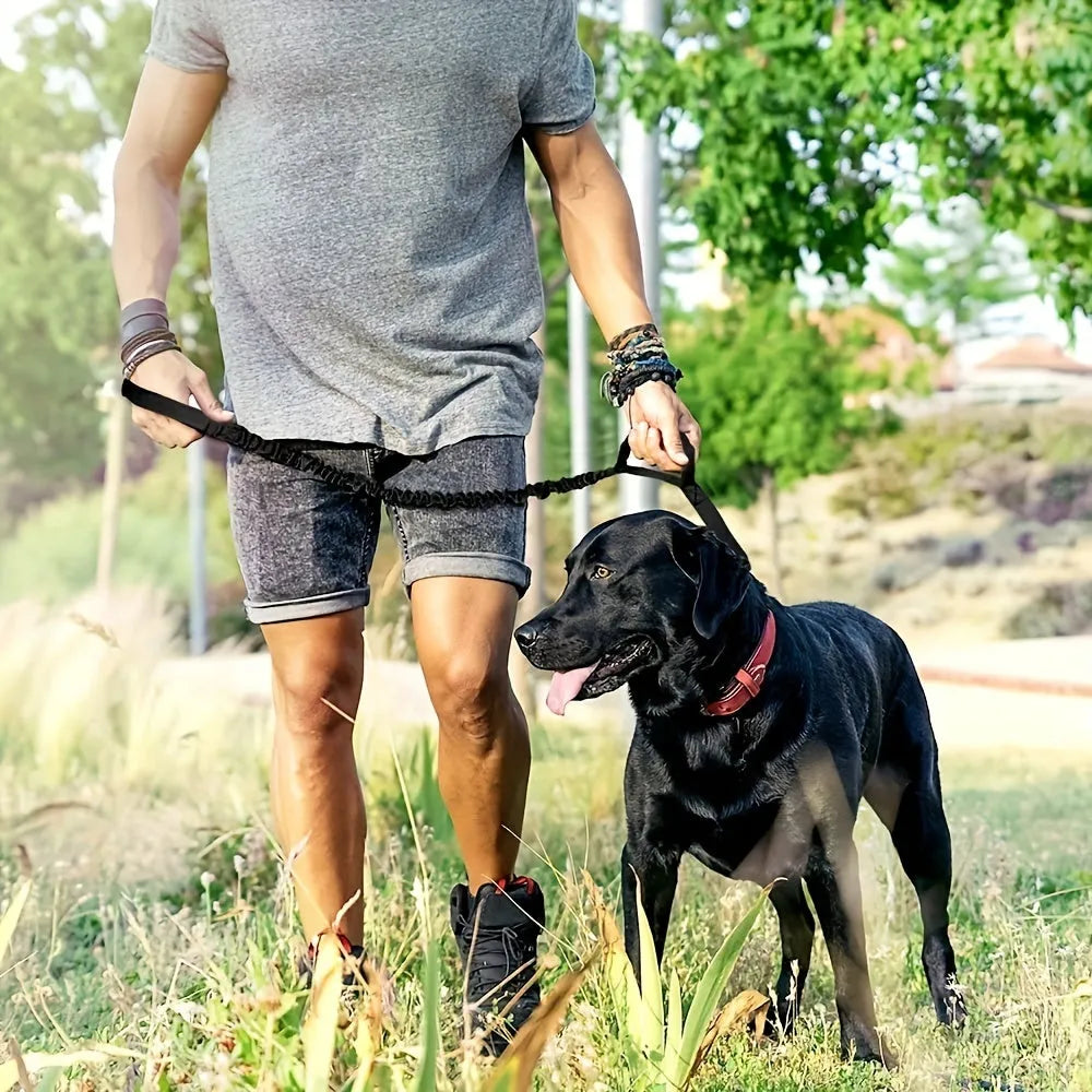 A black retractable dog leash for large breeds, extended to show its length, with a comfortable handle and reflective stitching.