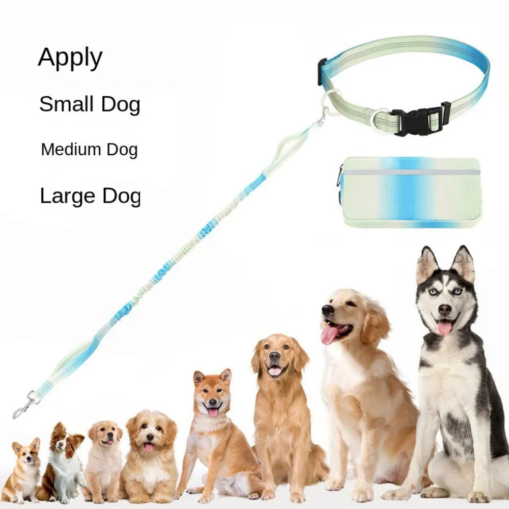 Hands-free adjustable dog leash with reflective traction rope and waist belt in blue