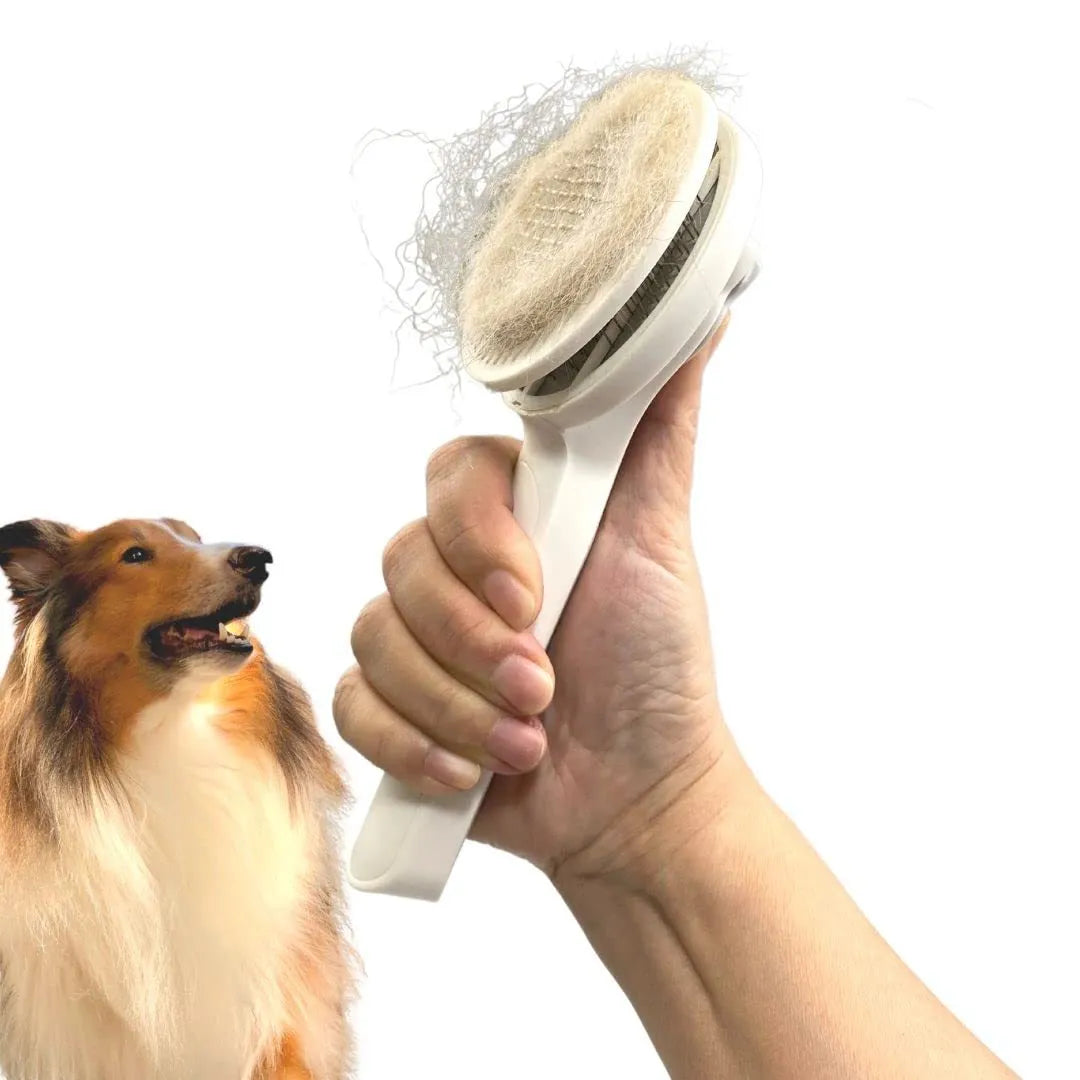Blue self-cleaning slicker brush for dogs and cats on a white background, showing ergonomic rubber handle.
