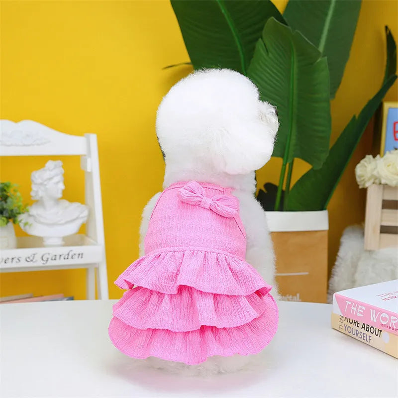 Small dog wearing rose red princess dress with layered skirt candy theme