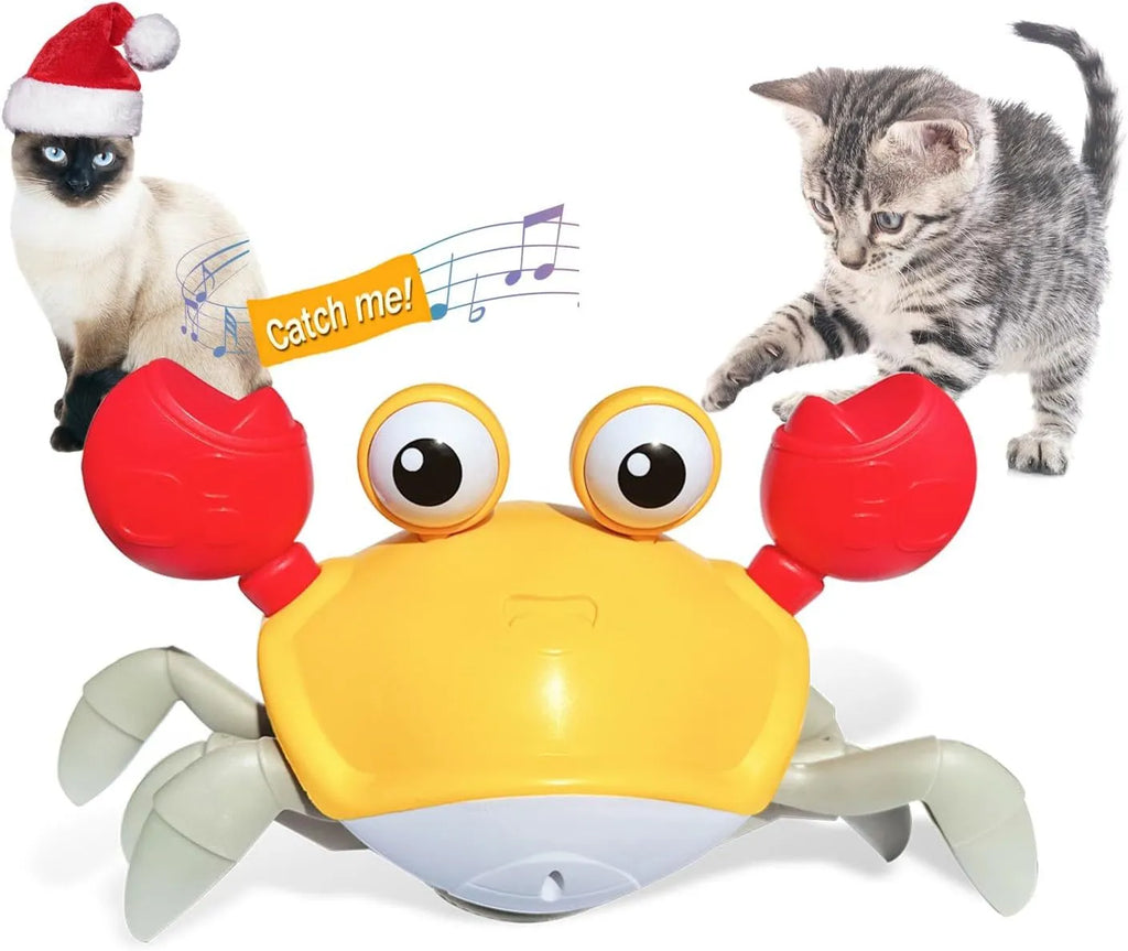 Red or blue ABS plastic crawling crab dog toy with lights, shown on a floor.