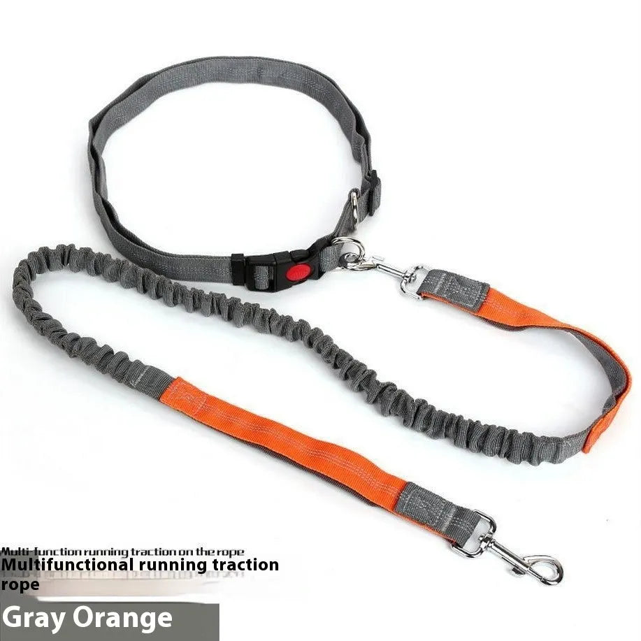 Elastic dog leash with reflective filament in two-tone colour combination, showing adjustable sling and standard clip attachment