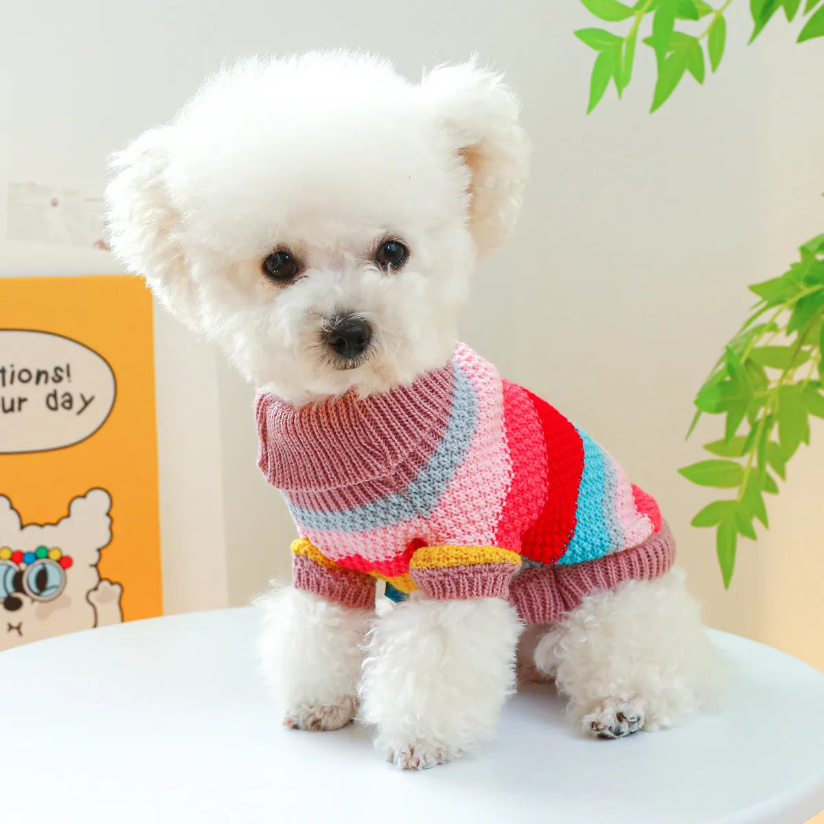 Pet Ring colorful stripes acrylic sweater for dogs, five sizes XS to XL, front view