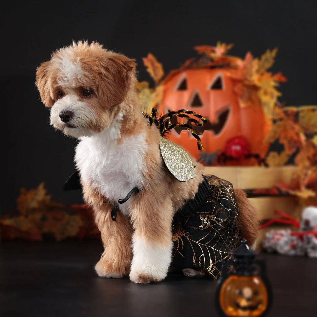 Halloween dog costume suit in polyester fabric available in sizes S, M, L, and XL
