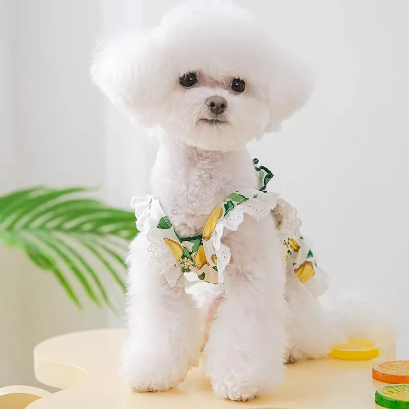 Rock yellow lemon polyester dog strap skirt showing Princess style design on mannequin