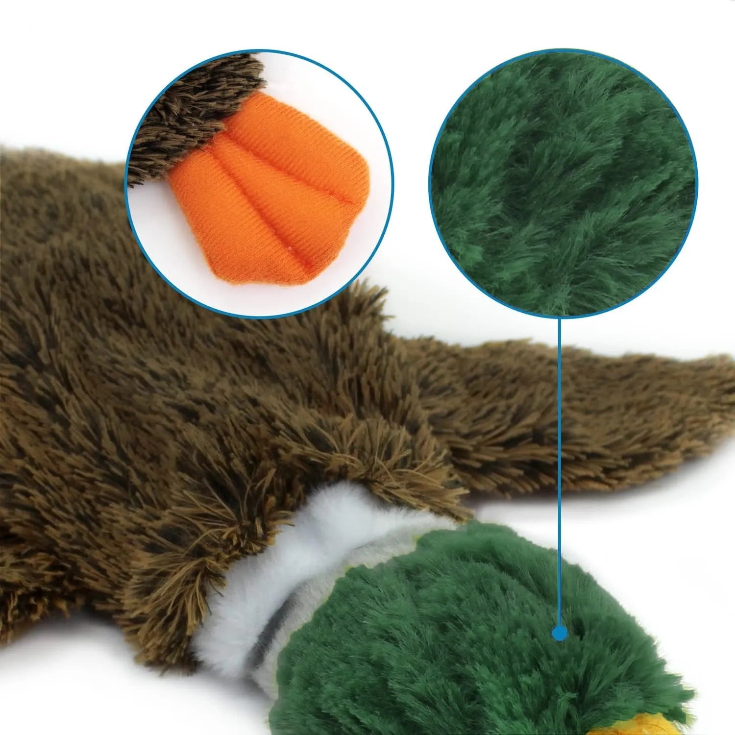 Green plush duck dog toy with stuffless design and two squeakers