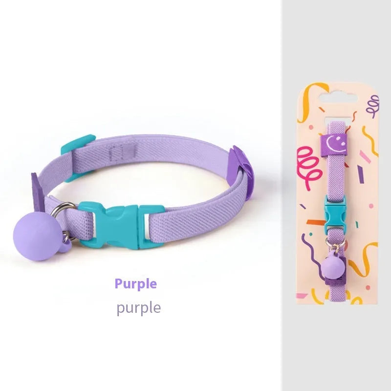 Small dog wearing a stretchy polyester pet collar in a choice of seven colours.