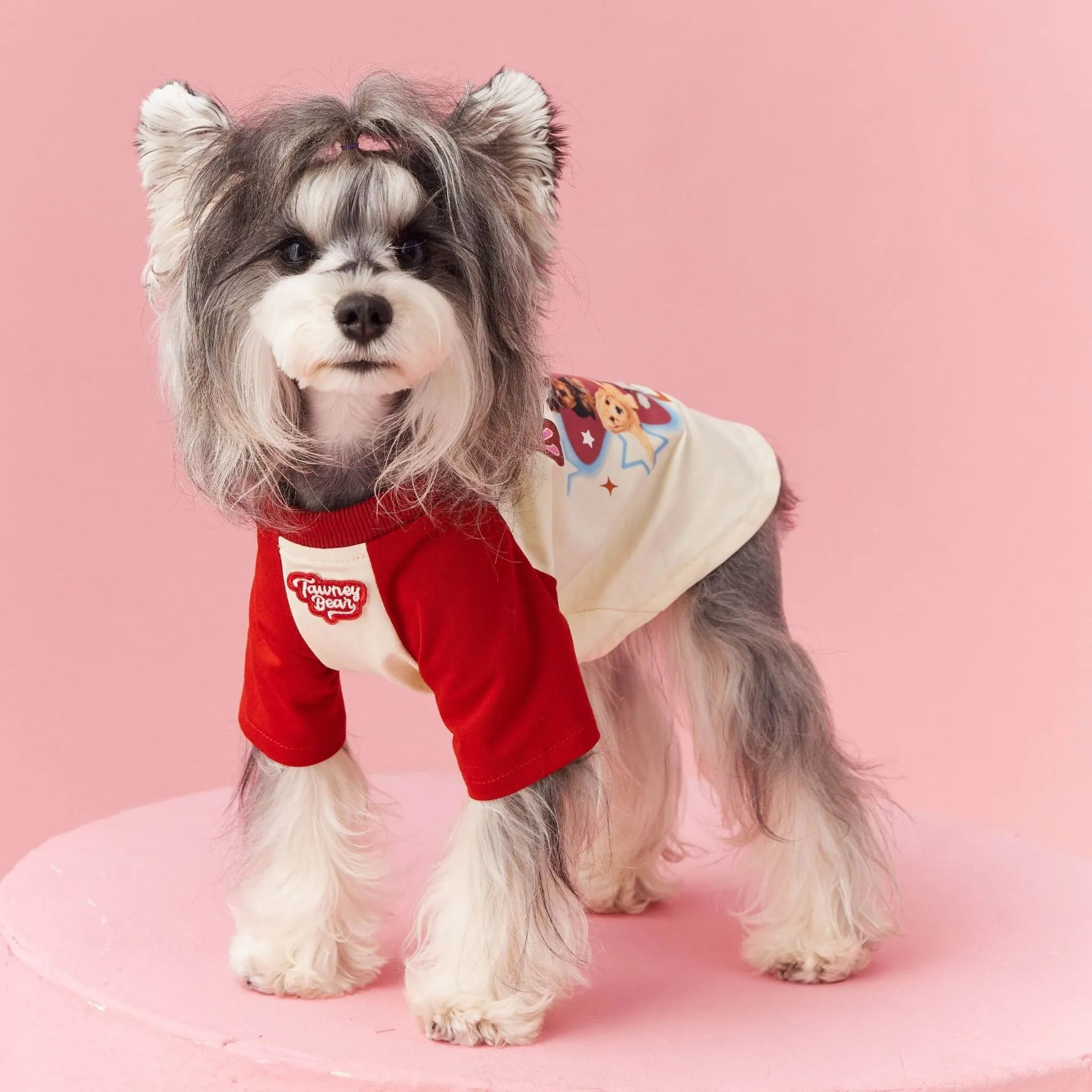 Cotton dog summer clothes with contrast colour detailing in embroidered red colour