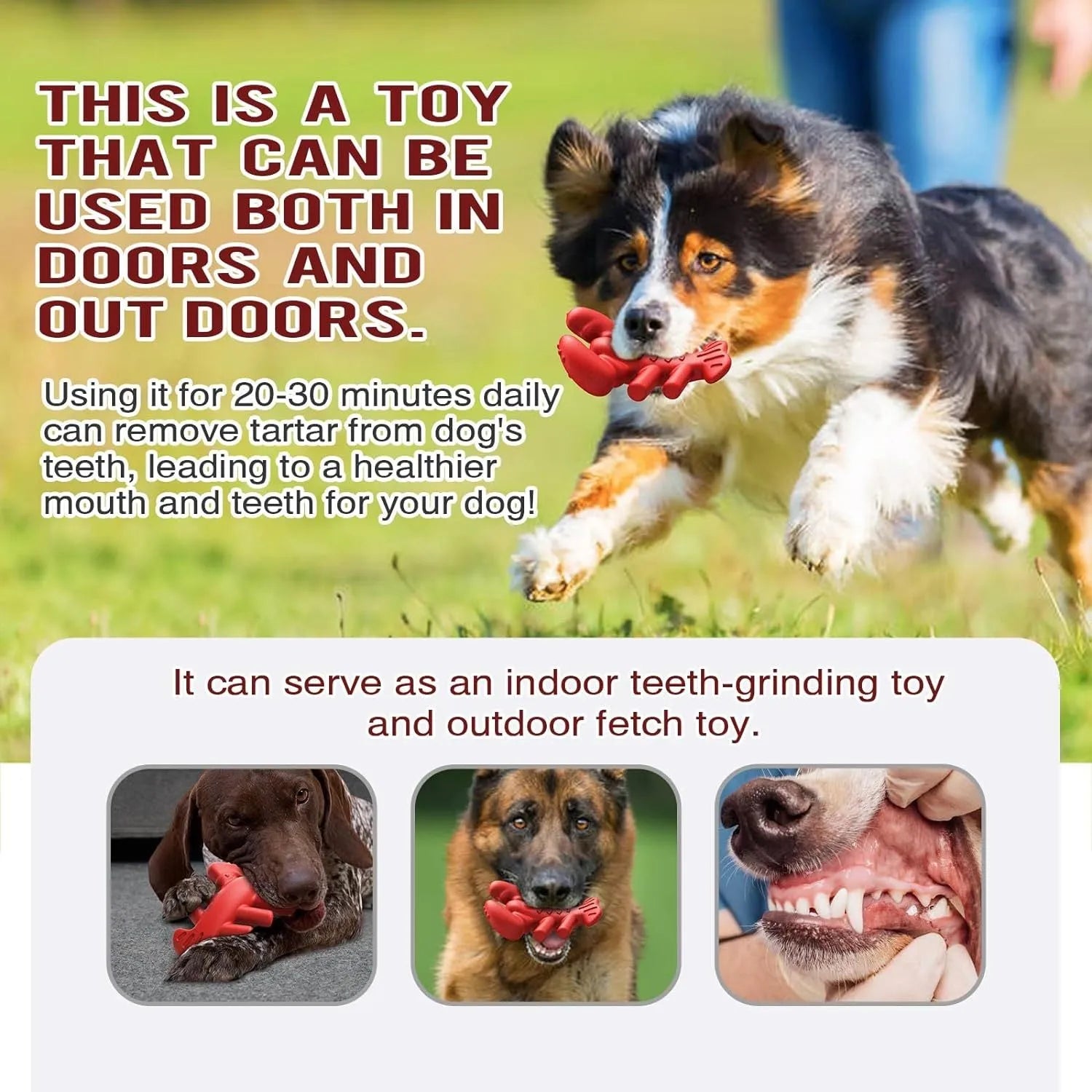 Large red dog chew toy for aggressive chewers with dental benefits