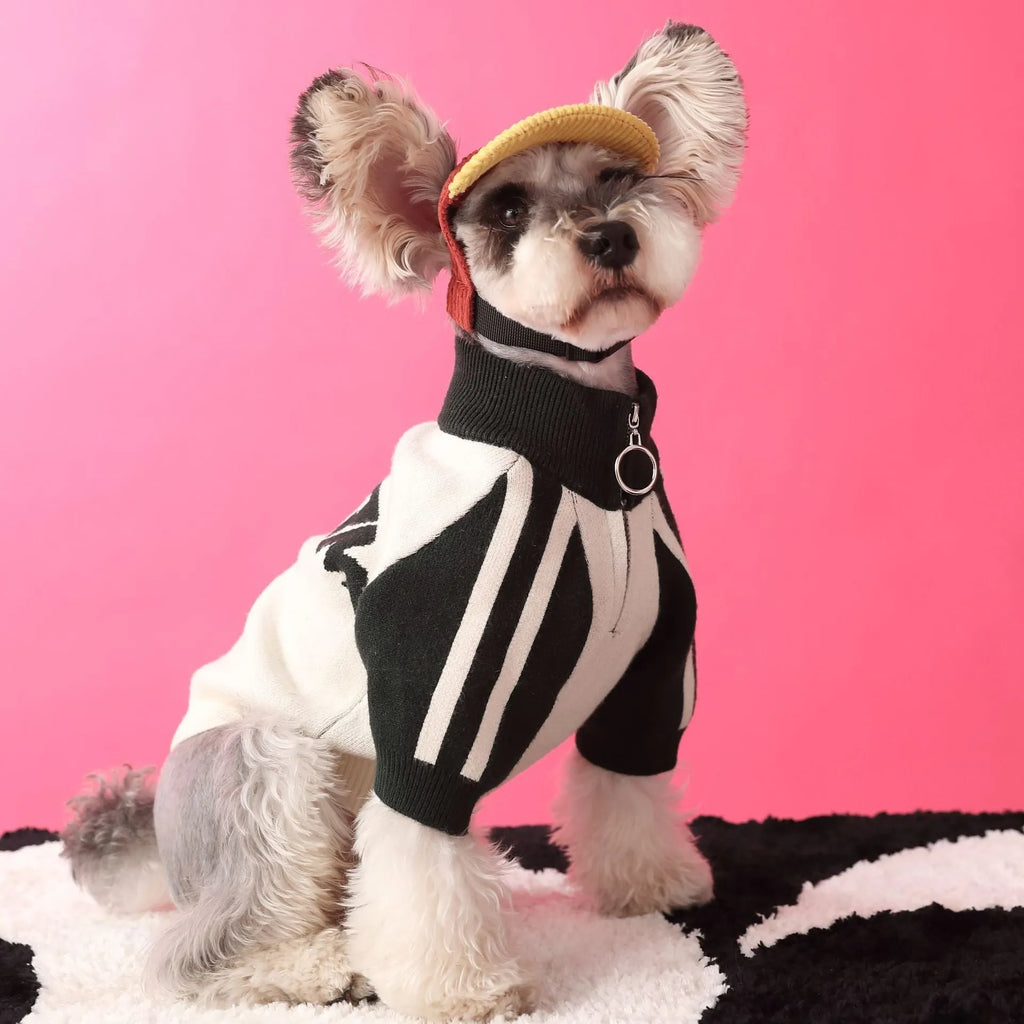 Red wool knit sports cardigan sweater worn by a dog, showing ribbed collar and front opening.