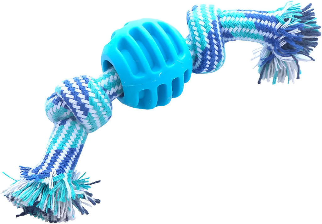 Blue molar-shaped dog chew toy with rope attachments for dental care and chewing