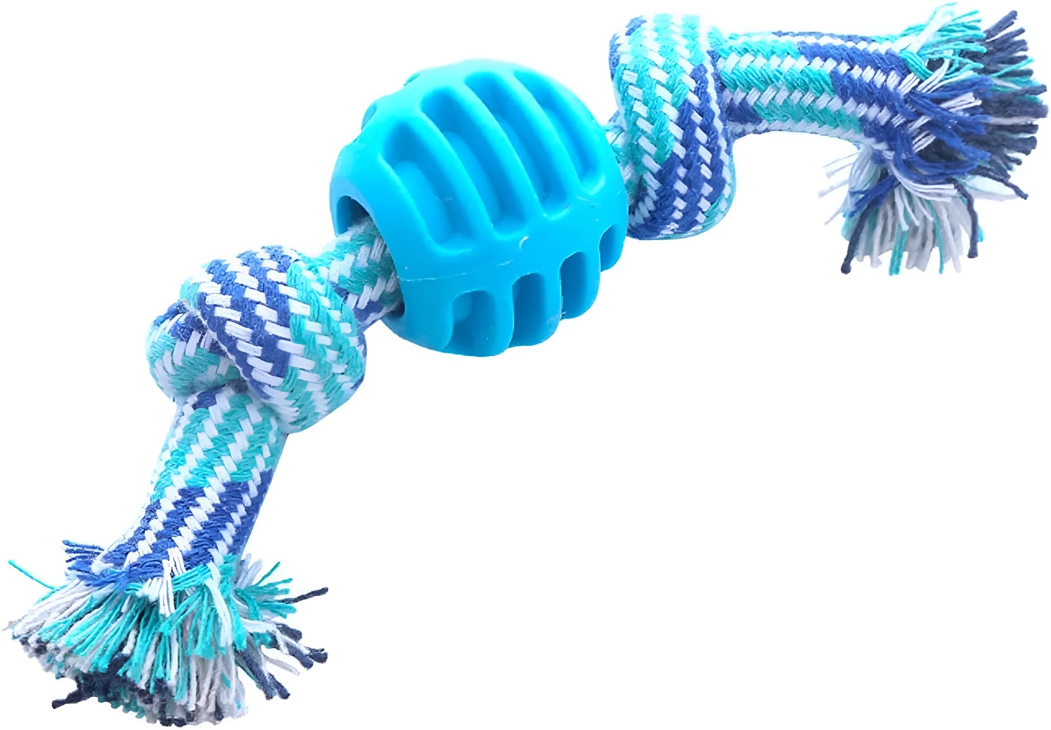 Blue molar-shaped dog chew toy with rope attachments for dental care and chewing