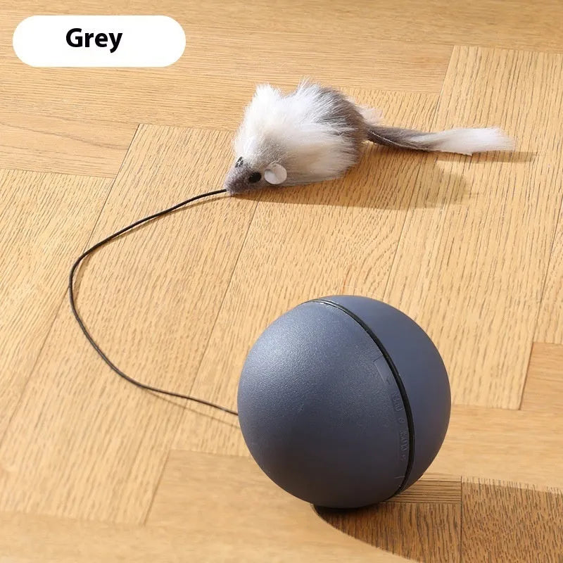 Automatic cat teasing ball with plush mouse in blue orange and dark grey colours