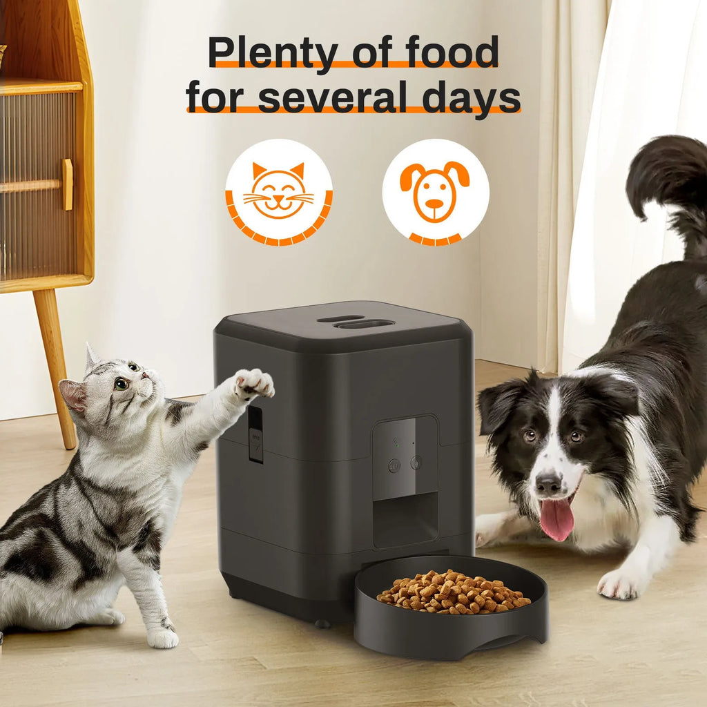 Smart Wi-Fi automatic pet feeder with smartphone app control for cats