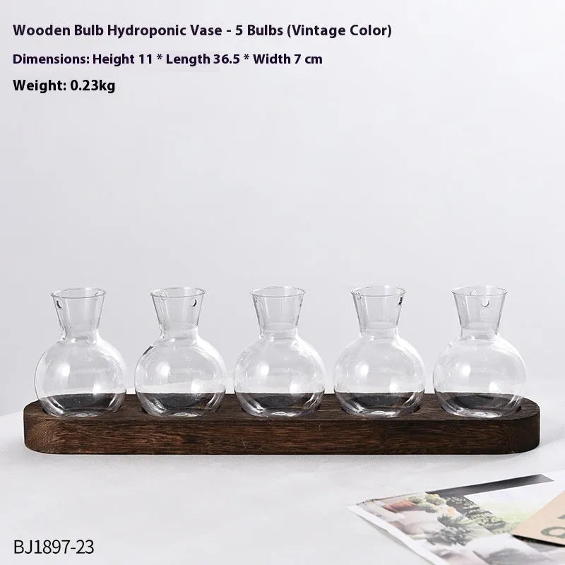 Transparent hydroponic vase in a wooden frame for modern plant display.