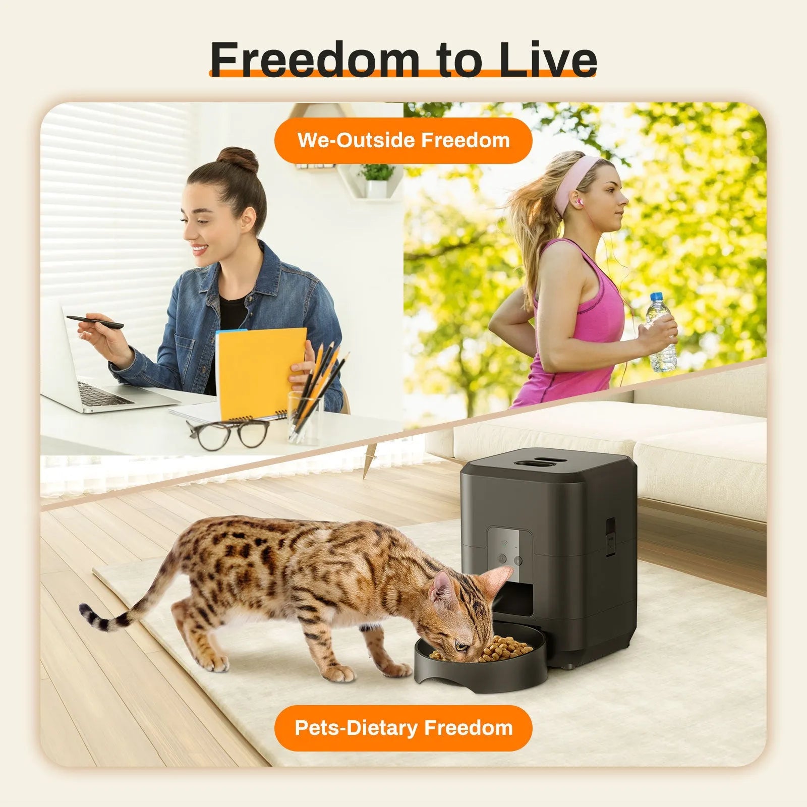 Smart Wi-Fi automatic pet feeder with smartphone app control for cats