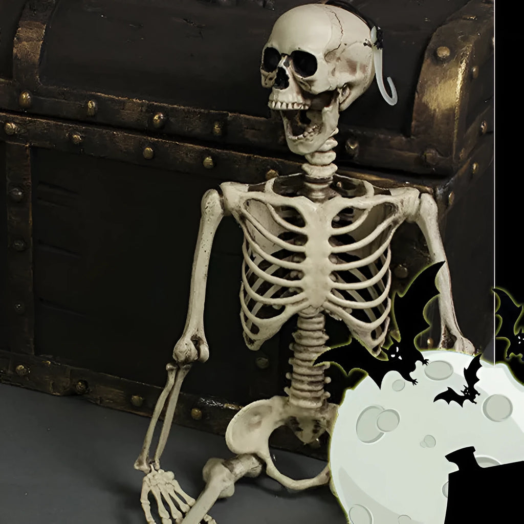 170cm tall plastic skeleton prop with detailed human skull and anatomical bone structure