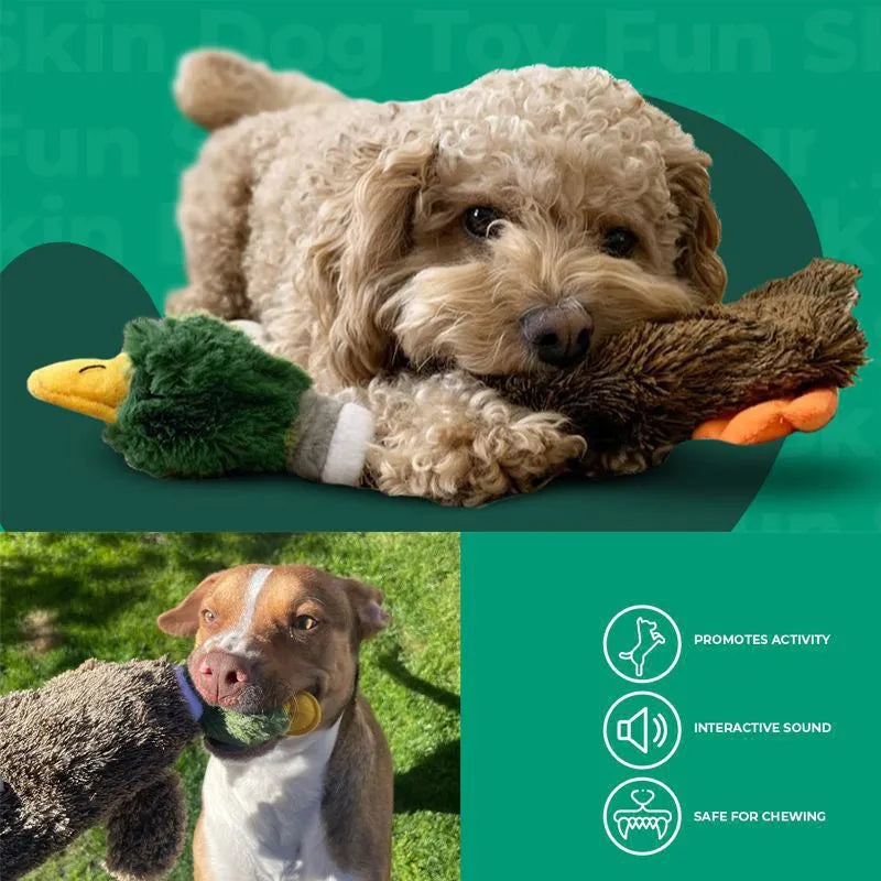 Green plush duck dog toy with stuffless design and two squeakers