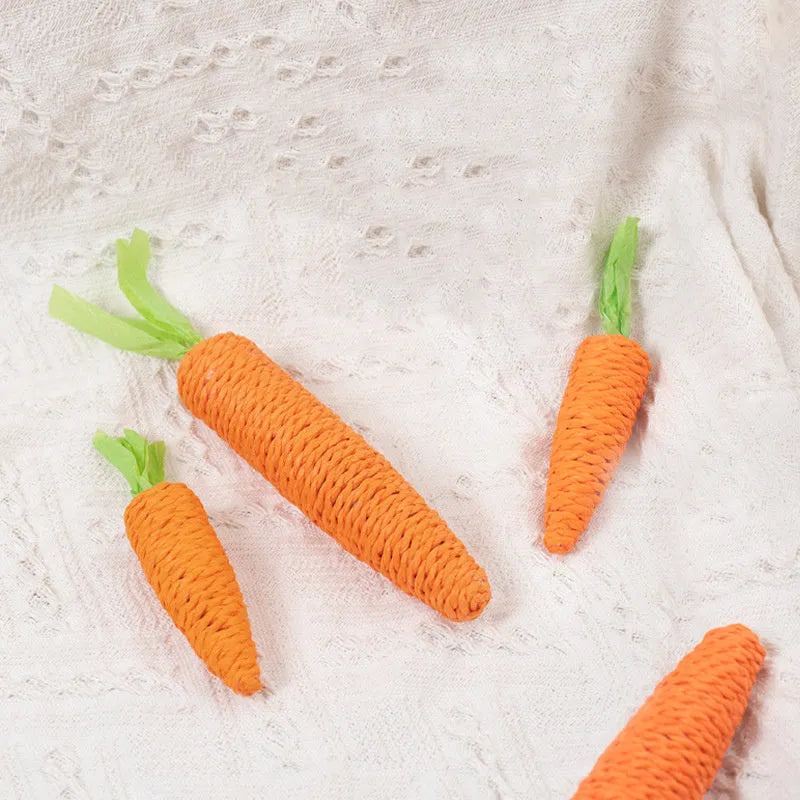 Cat toy set with plastic biting rings, textured grinding sticks, paper carrots, and extended play sticks