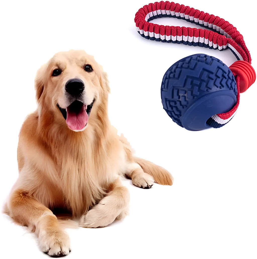 Blue and red durable rubber dog ball with rope attachment toy for medium and small dogs