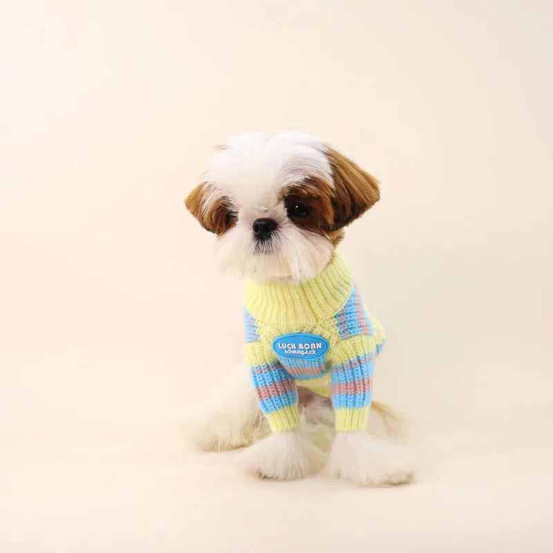 Blue and yellow striped wool dog sweater shown on a small white dog, sizes XS to XXL.