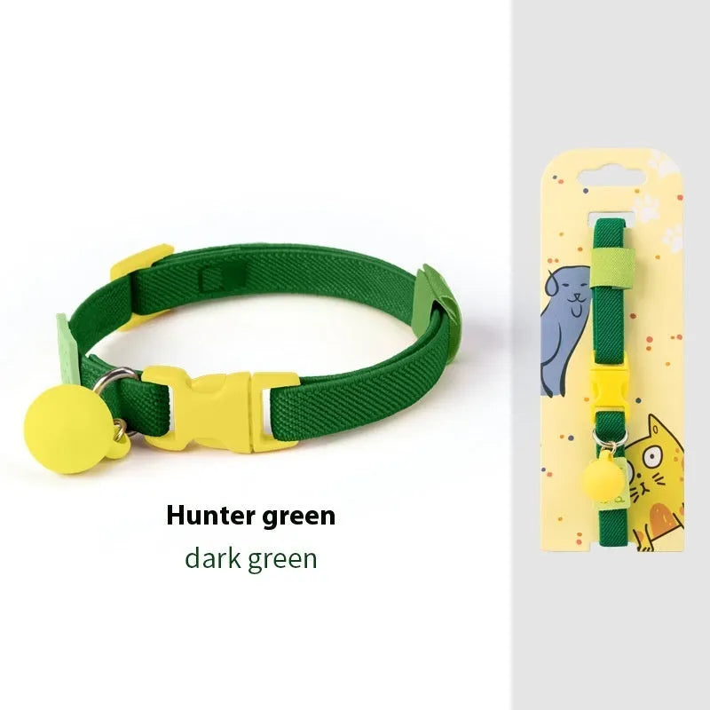Small dog wearing a stretchy polyester pet collar in a choice of seven colours.