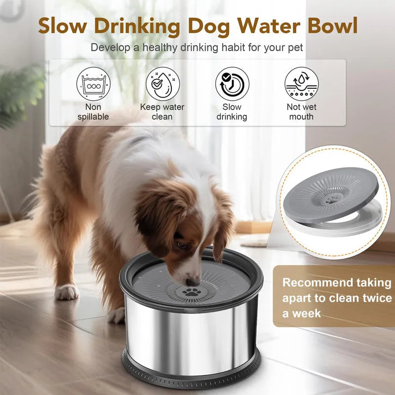 Stainless steel pet water bowl with non-slip base, available in large capacity sizes for dogs and cats