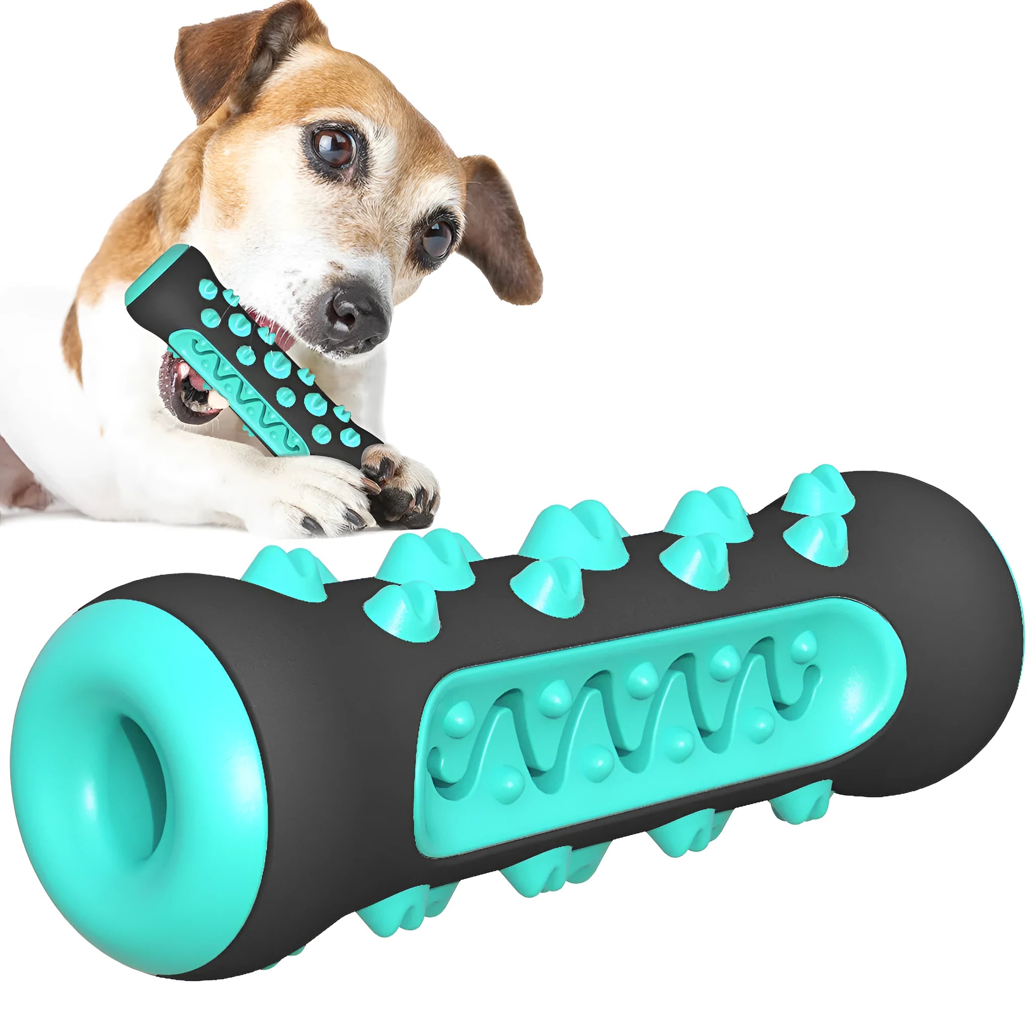 Natural rubber dog toothbrush chew toy in four colours: black/blue, blue, green, and yellow