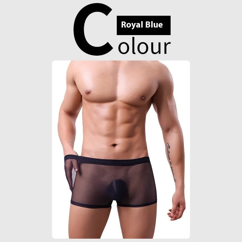 Men's low-waist mesh boxer briefs in thin sheer fabric, shown in multiple colours.