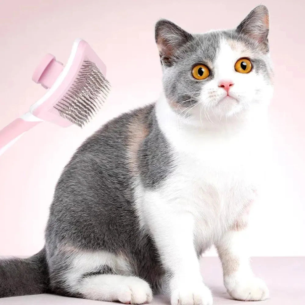 Self cleaning slicker brush for dogs cats with one click button in green orange pink