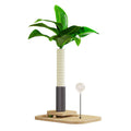 A canna-coloured solid wood cat scratching post with a vertical pole and an integrated food drop ball.