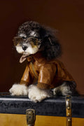 Brown retro long sleeve PU leather dog coat on Schnauzer or Bichon breed