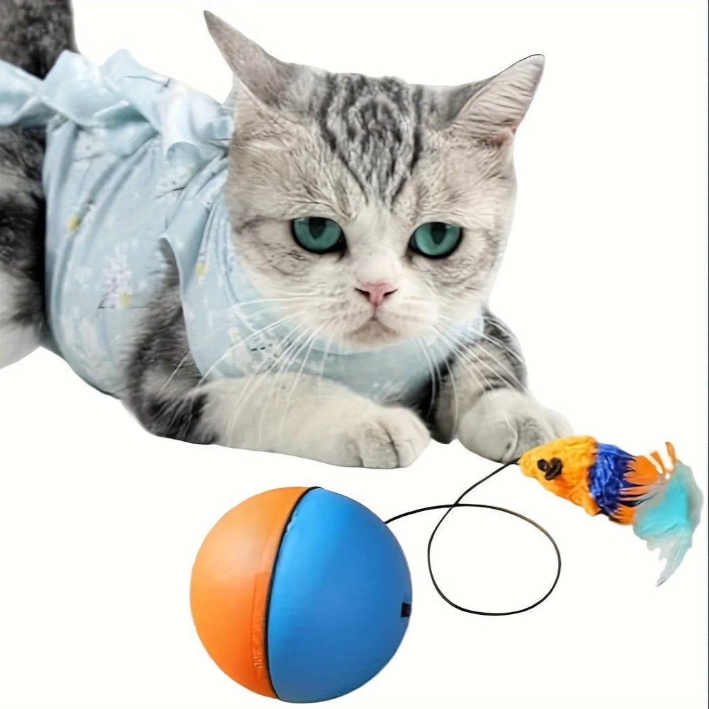 Interactive cat toy ball and plush mouse in blue and orange colours measuring 8.5cm