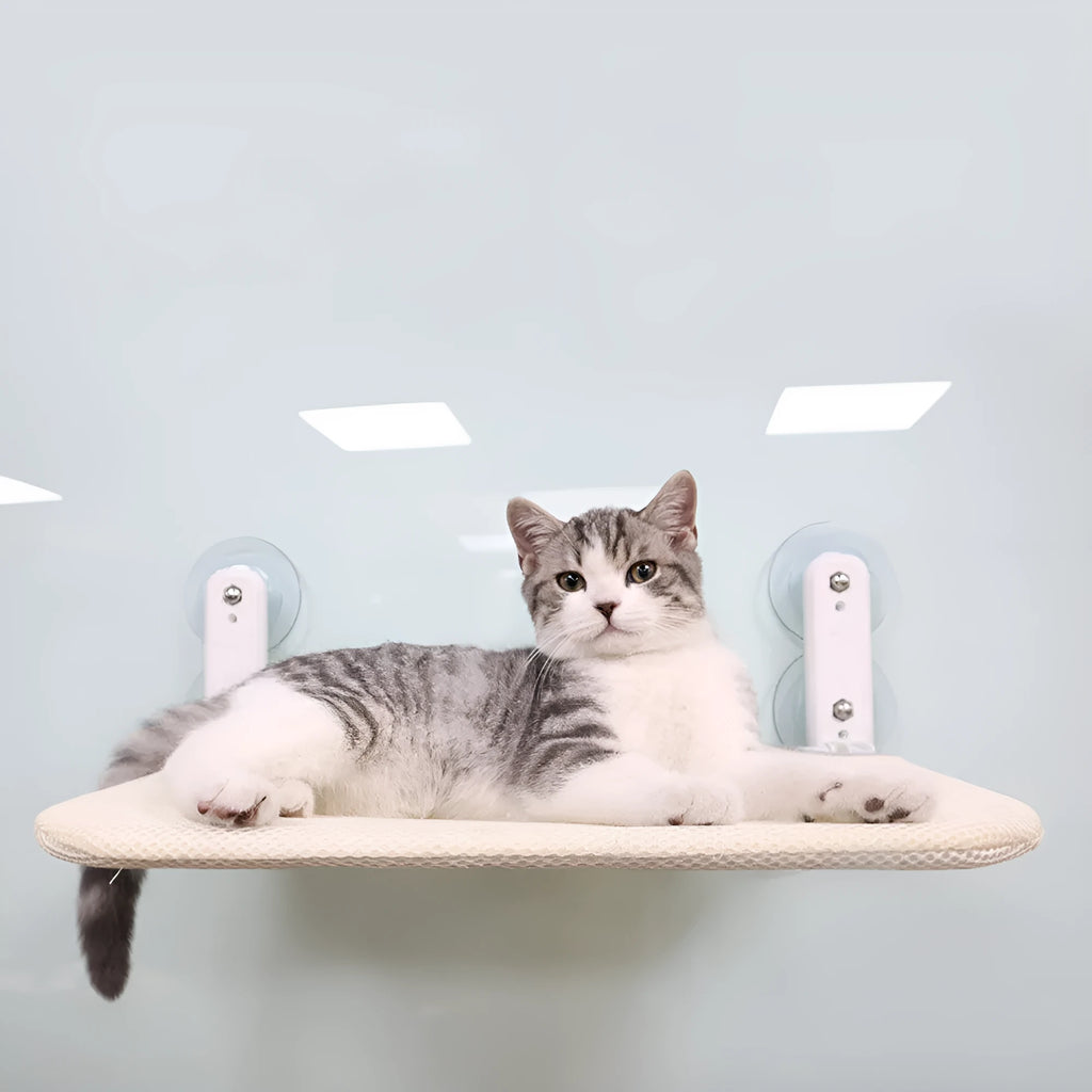 Grey plush cat window hammock with stainless steel suction cups mounted on a glass pane