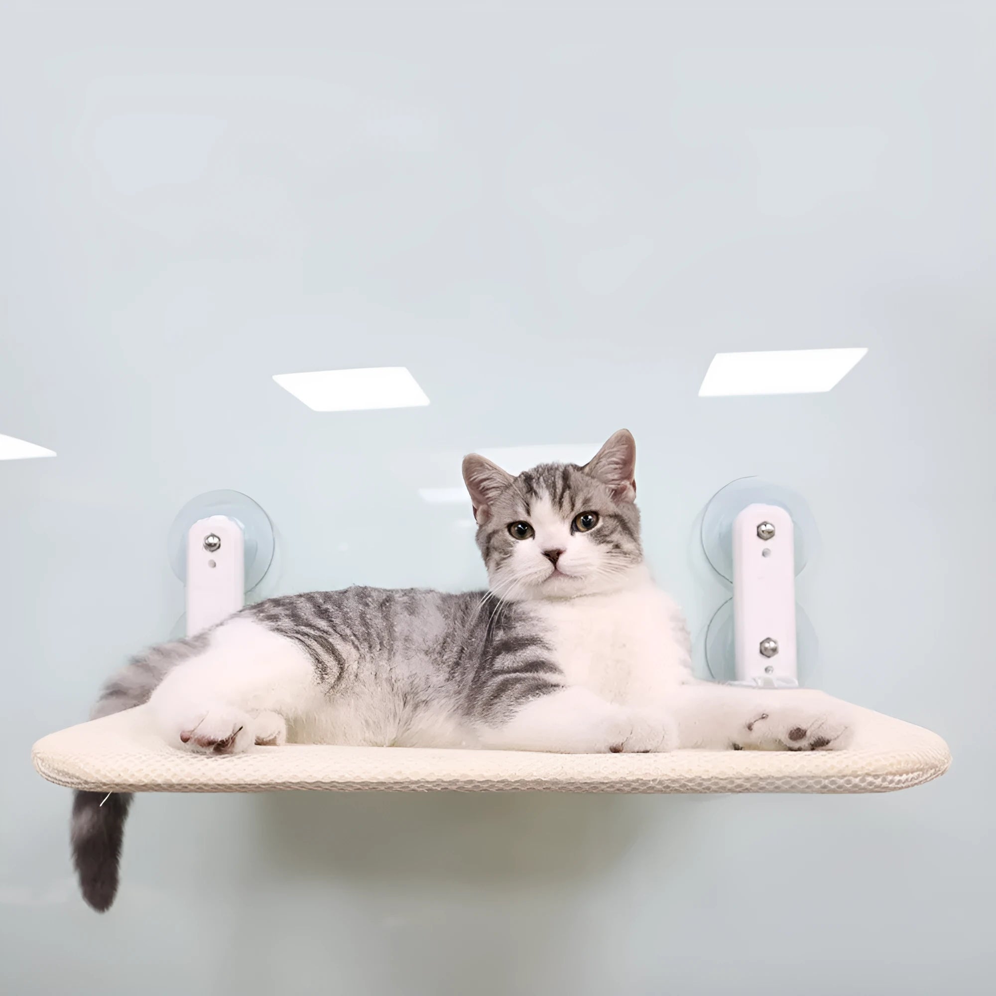 Grey plush cat window hammock with stainless steel suction cups mounted on a glass pane