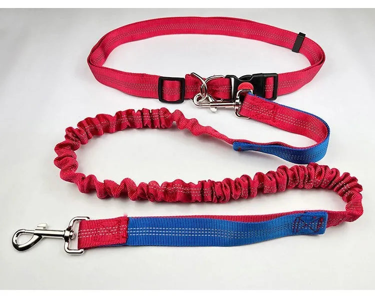 Elastic dog leash with reflective filament in two-tone colour combination, showing adjustable sling and standard clip attachment