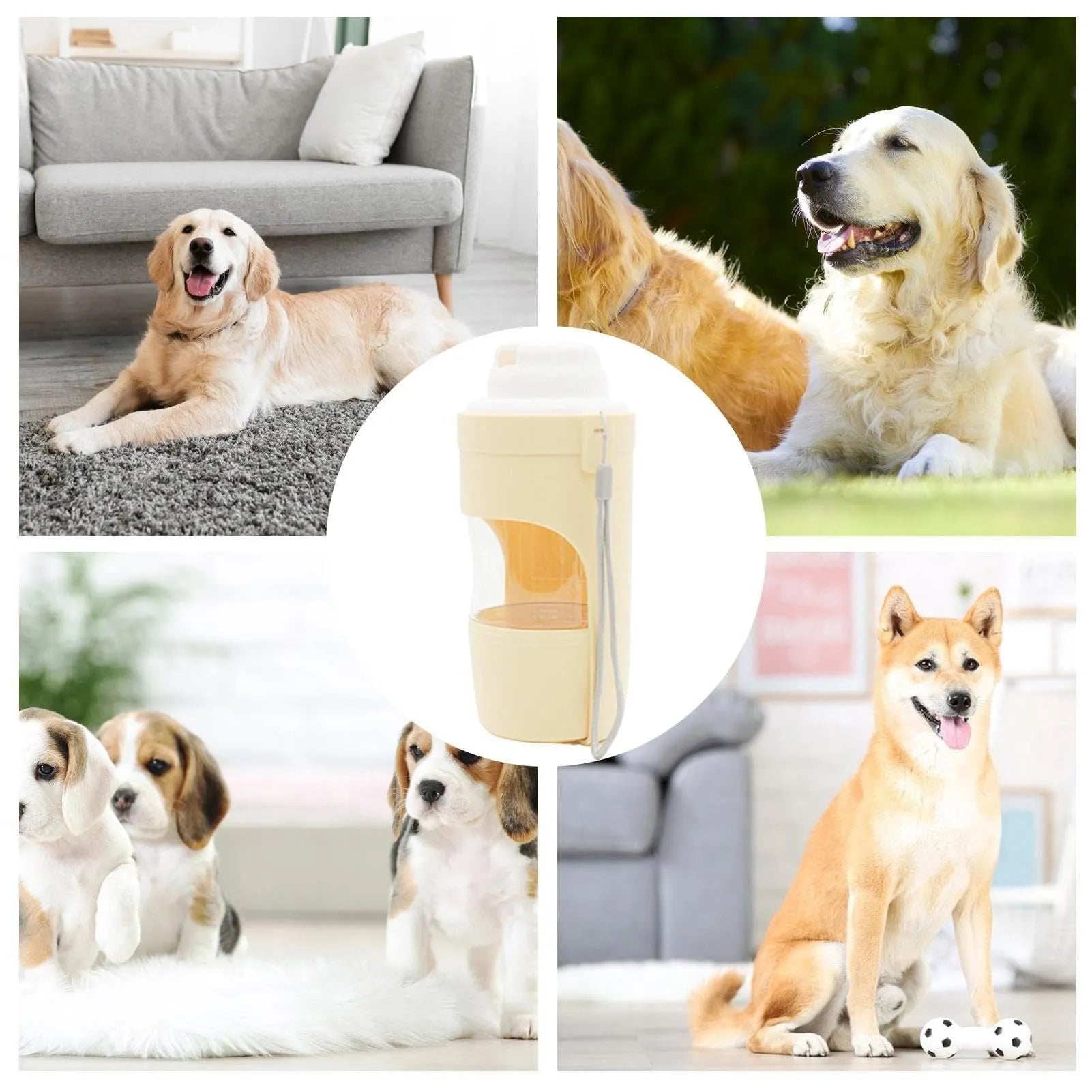 Green 2-in-1 travel dog water bottle and feeder with lanyard, folded to 20cm.