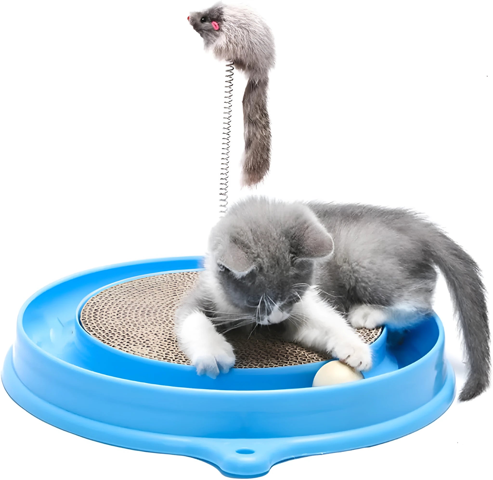 Blue interactive cat scratcher with ball track and replaceable scratching pad on 40cm diameter base