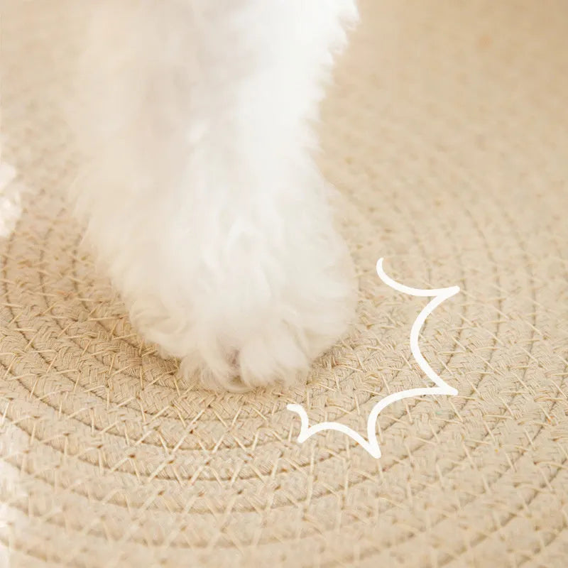 Green oval cat scratcher bed with sisal scratching surface measuring 65x42cm