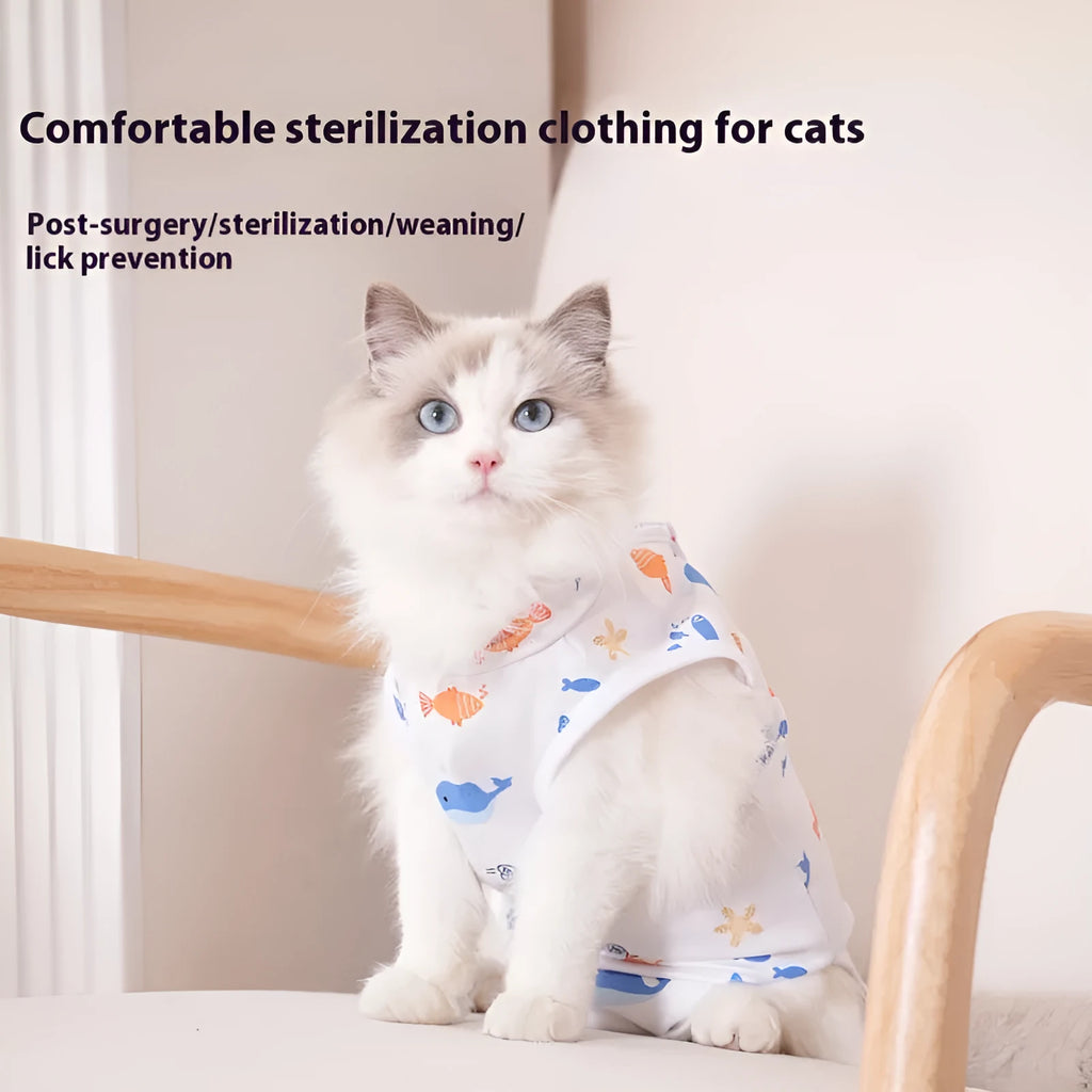 Cat wearing a patterned polyester recovery suit with Velcro fastenings after sterilisation surgery.