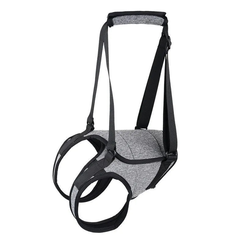 Grey neoprene dog rear leg recovery support belt wrapped around canine hindquarters