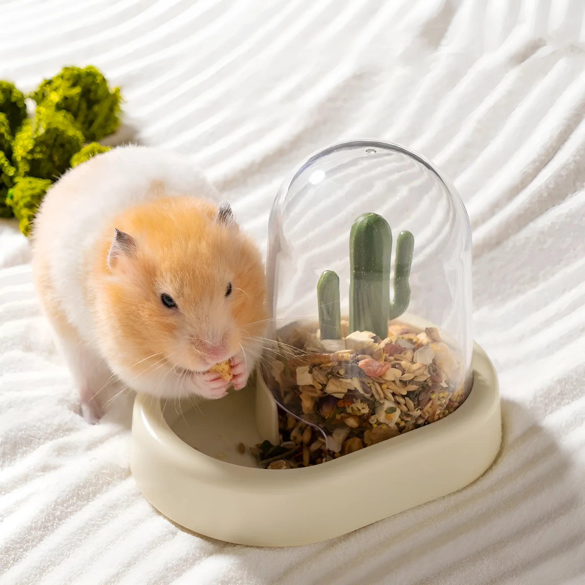 Home Hamster Creative Cactus Automatic Feeder 190ml in Vanilla Warm Yellow
