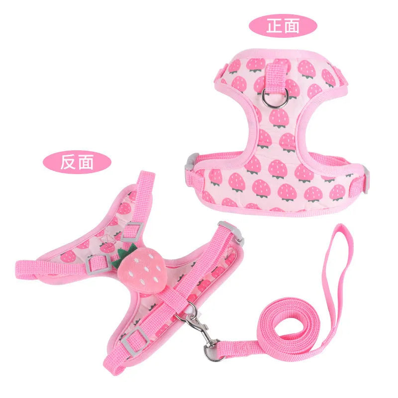 Reflective chest strap vest-style small dog walking lead in carrot colour with adjustable hand-holding rope