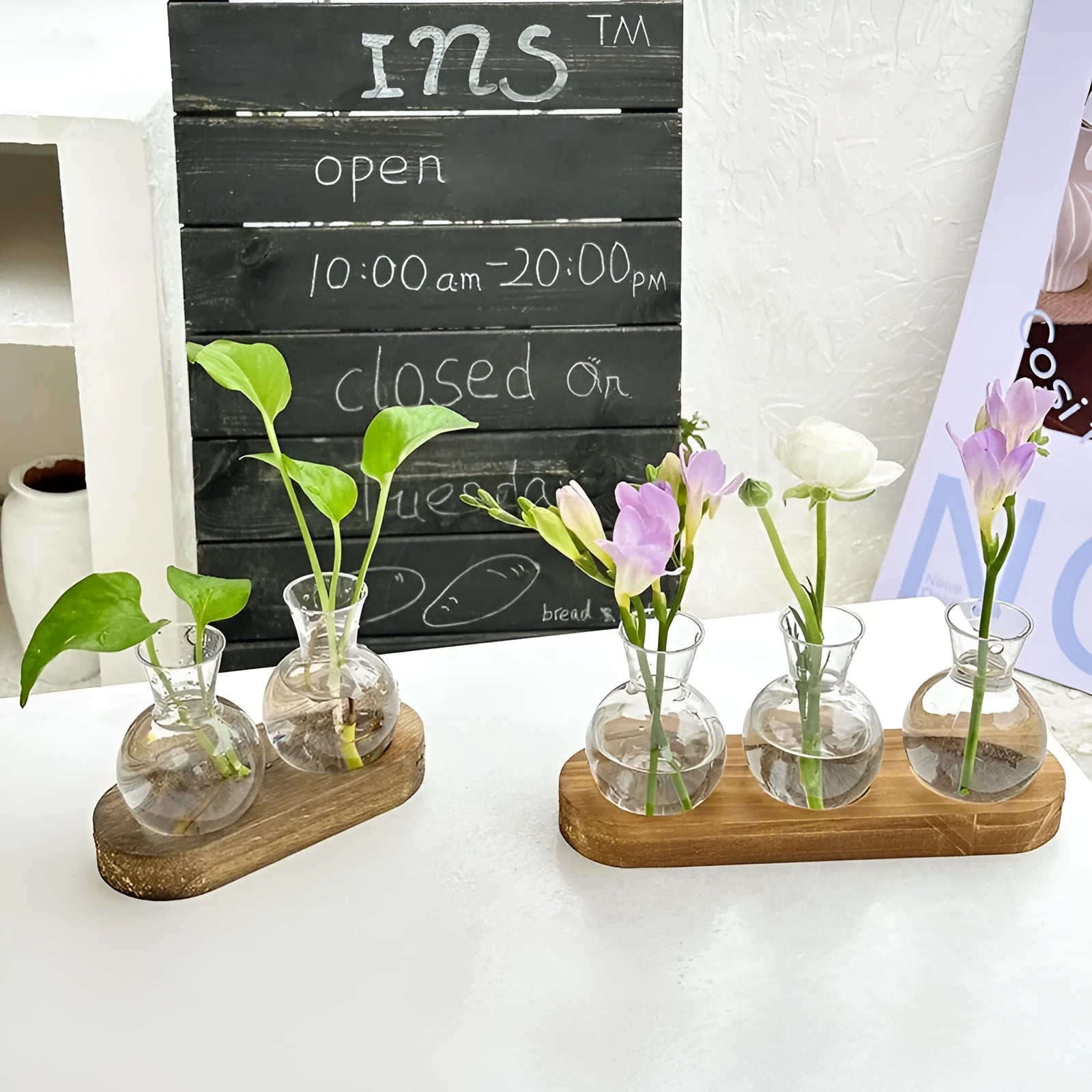 Transparent hydroponic vase in a wooden frame for modern plant display.