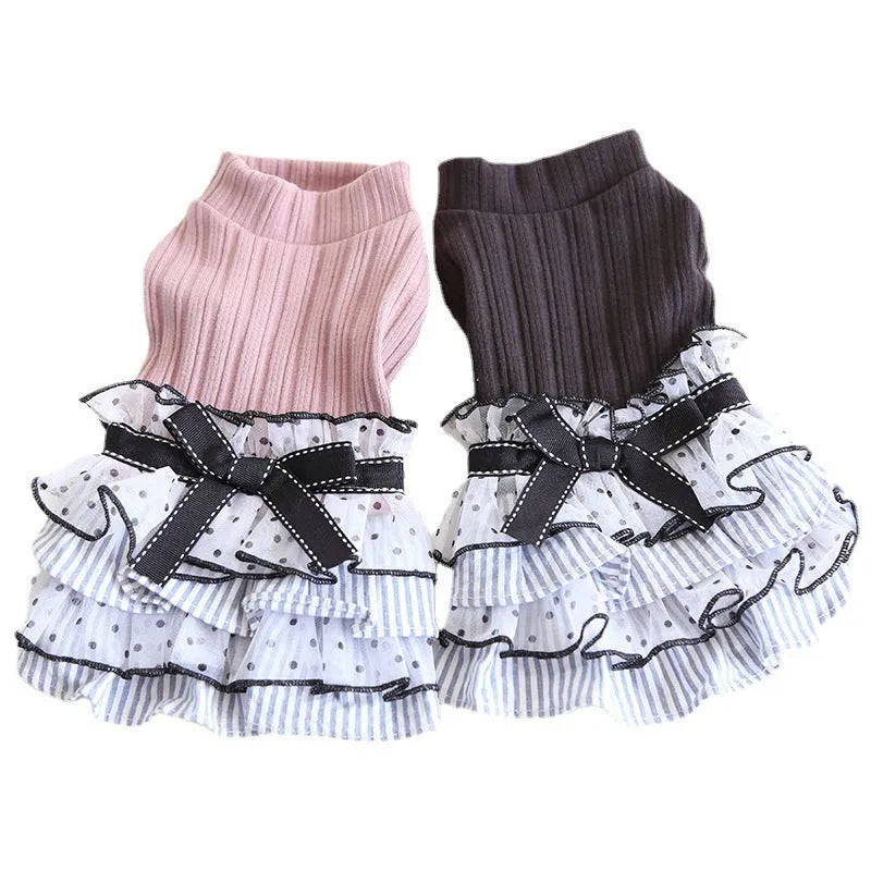 Polka dot lace cake dress pet clothes in taro purple on a small dog, princess style with lace detailing