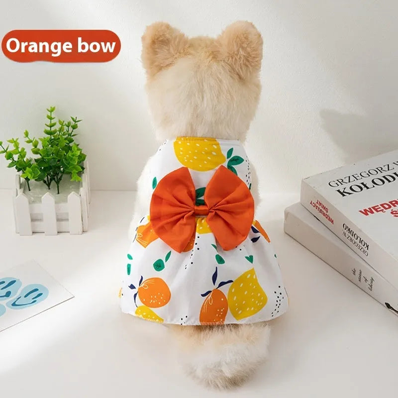 Orange floral butterfly pet dress with a bow on a dog, showing thin summer clothing.