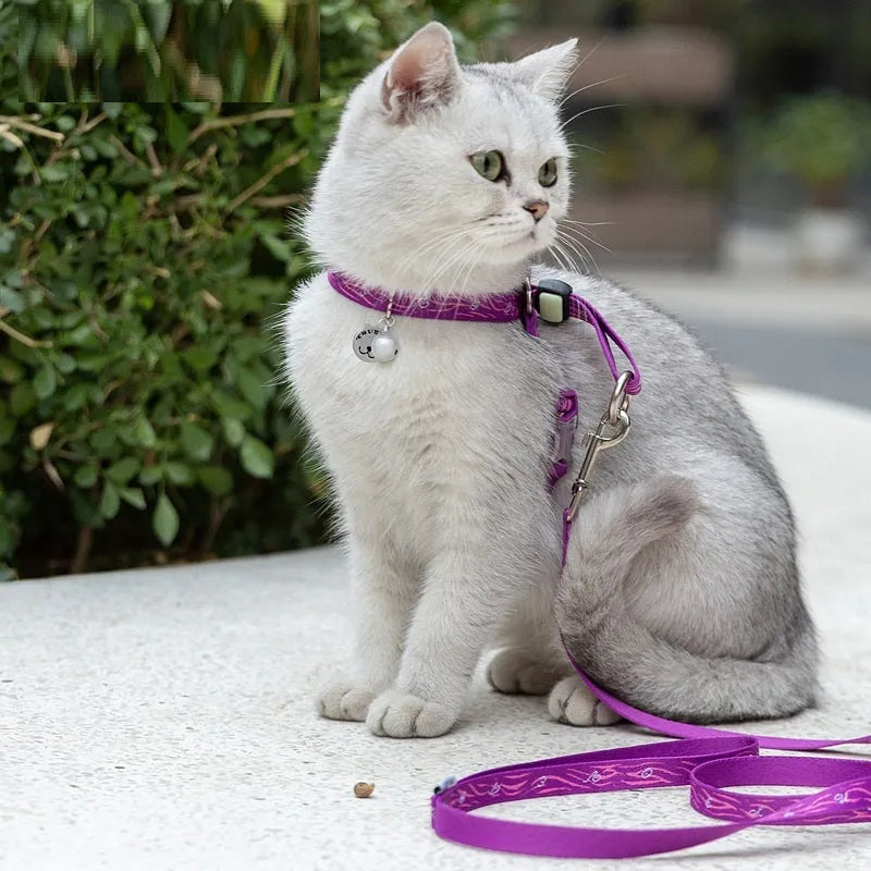 Pet cat bell chest strap harness with lead in blue, polyester jacquard mesh, adjustable size for small dogs