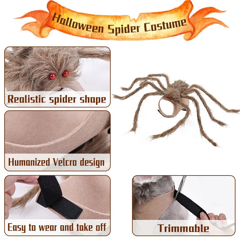 Halloween pet costume with big spider design for dogs and cats in grey, brown, black, purple