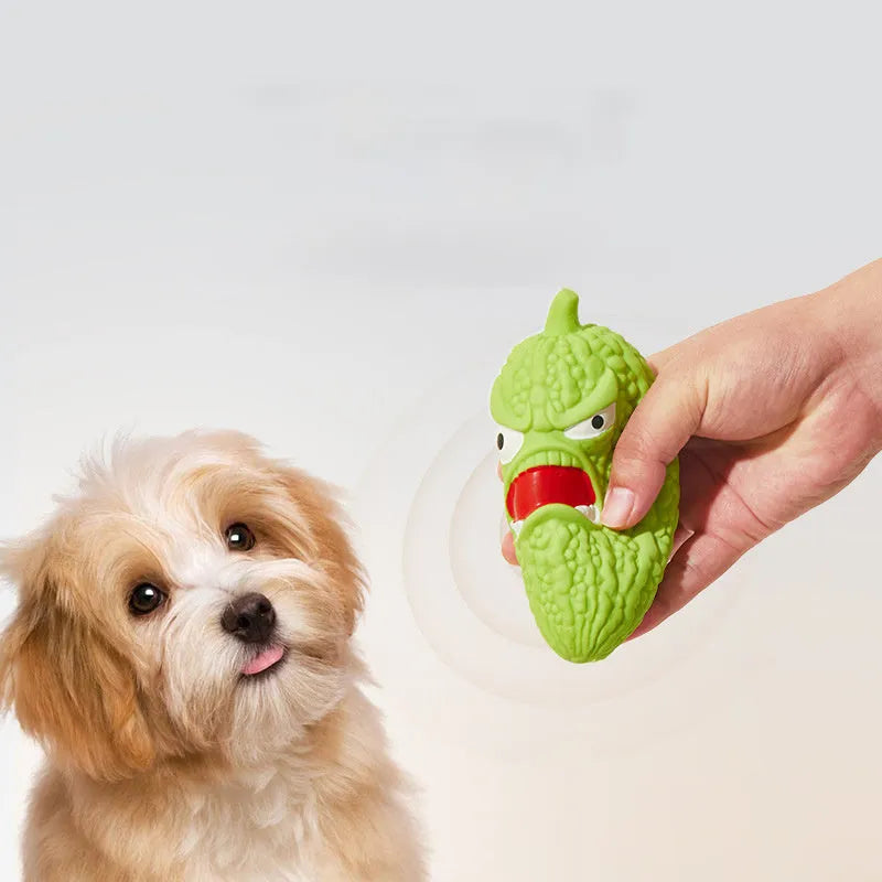 Bitter melon and chili pepper shaped dog toys with textured surfaces for chewing and teeth grinding