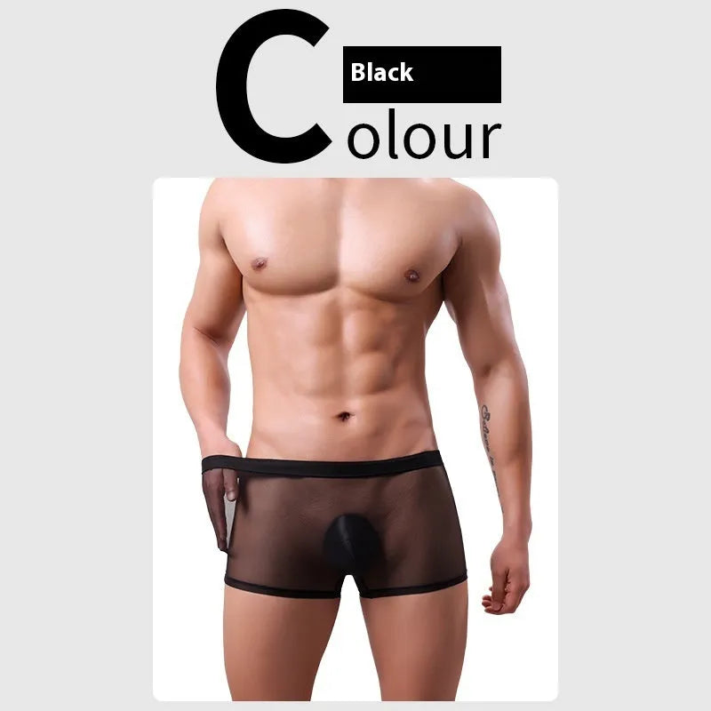 Men's low-waist mesh boxer briefs in thin sheer fabric, shown in multiple colours.